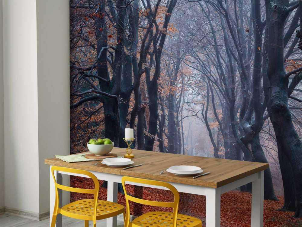 Sentiero forestale con foglie