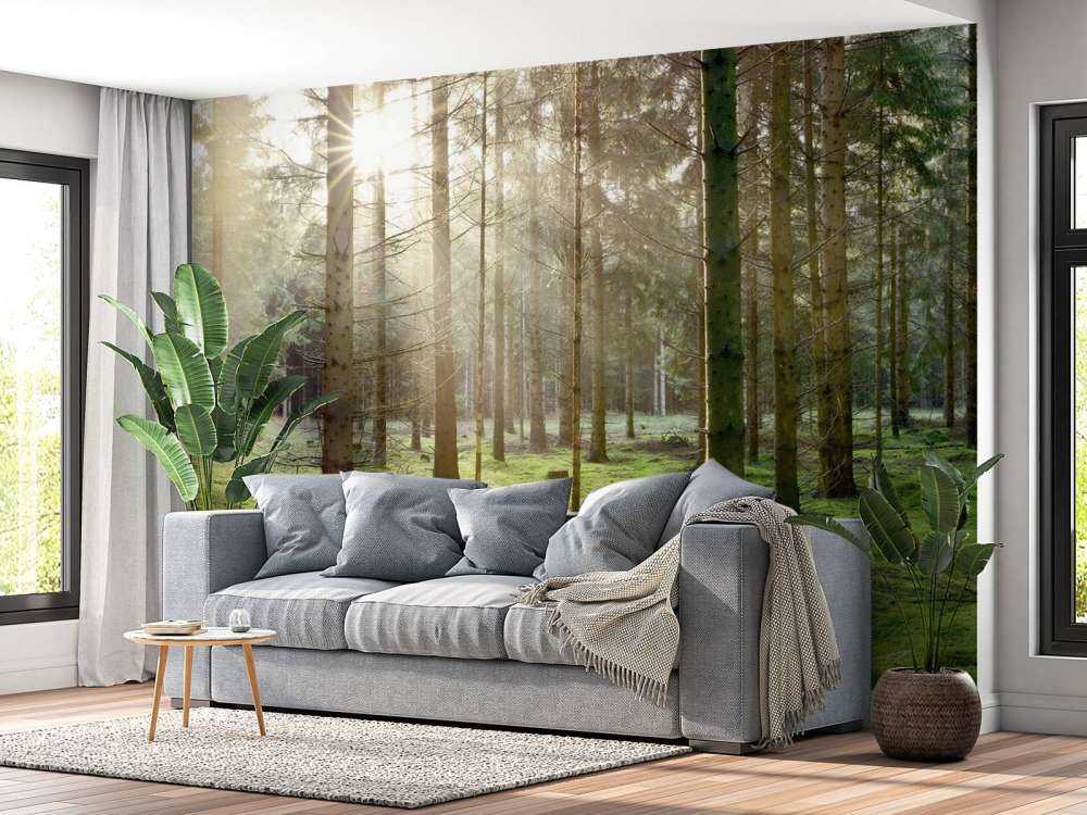 Foresta di conifere con muschio