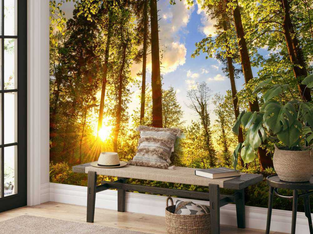 Tramonto tra gli alberi