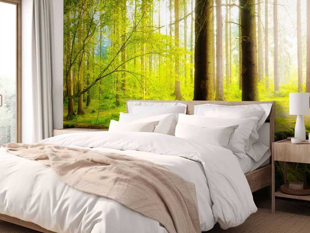 Fresca foresta verde