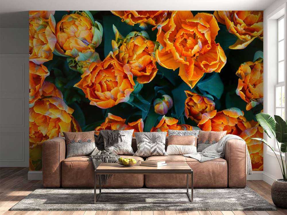 Tulipani arancioni ravvicinati