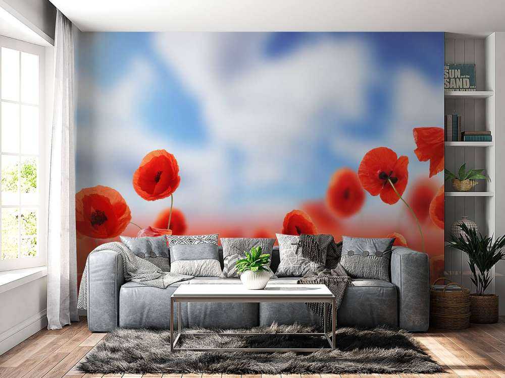 Cielo blu e papaveri rossi