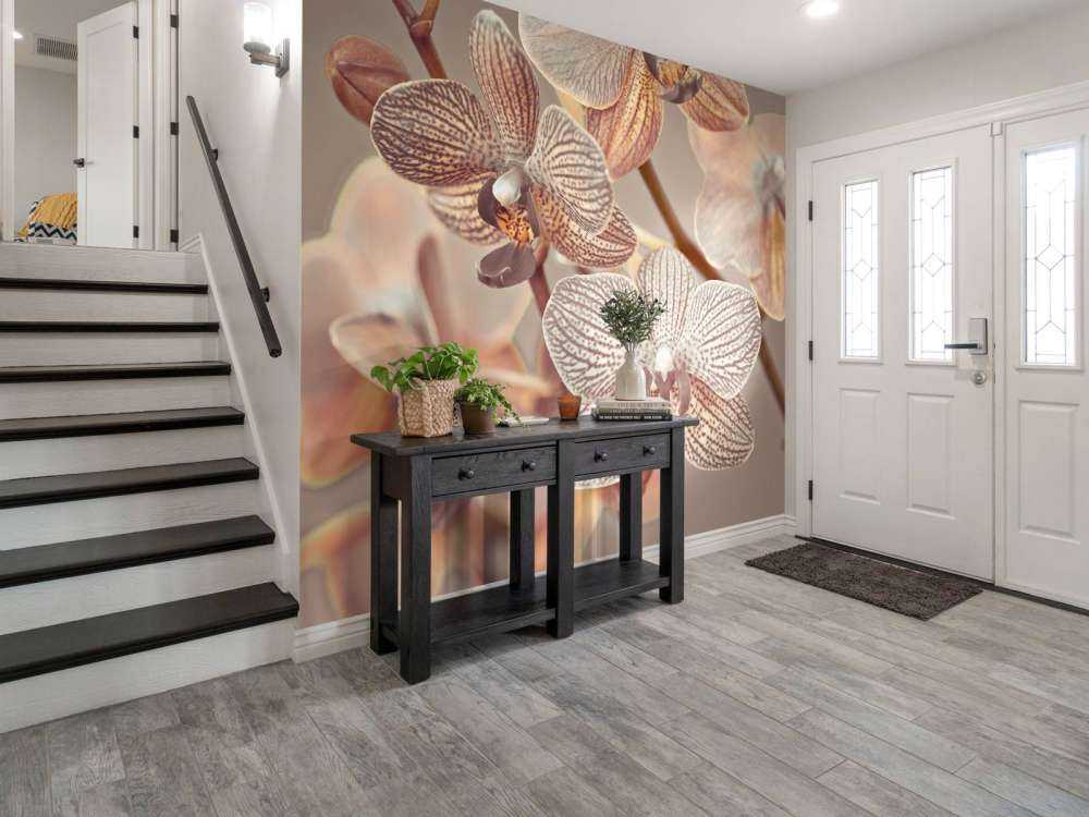 Orchidea ravvicinata