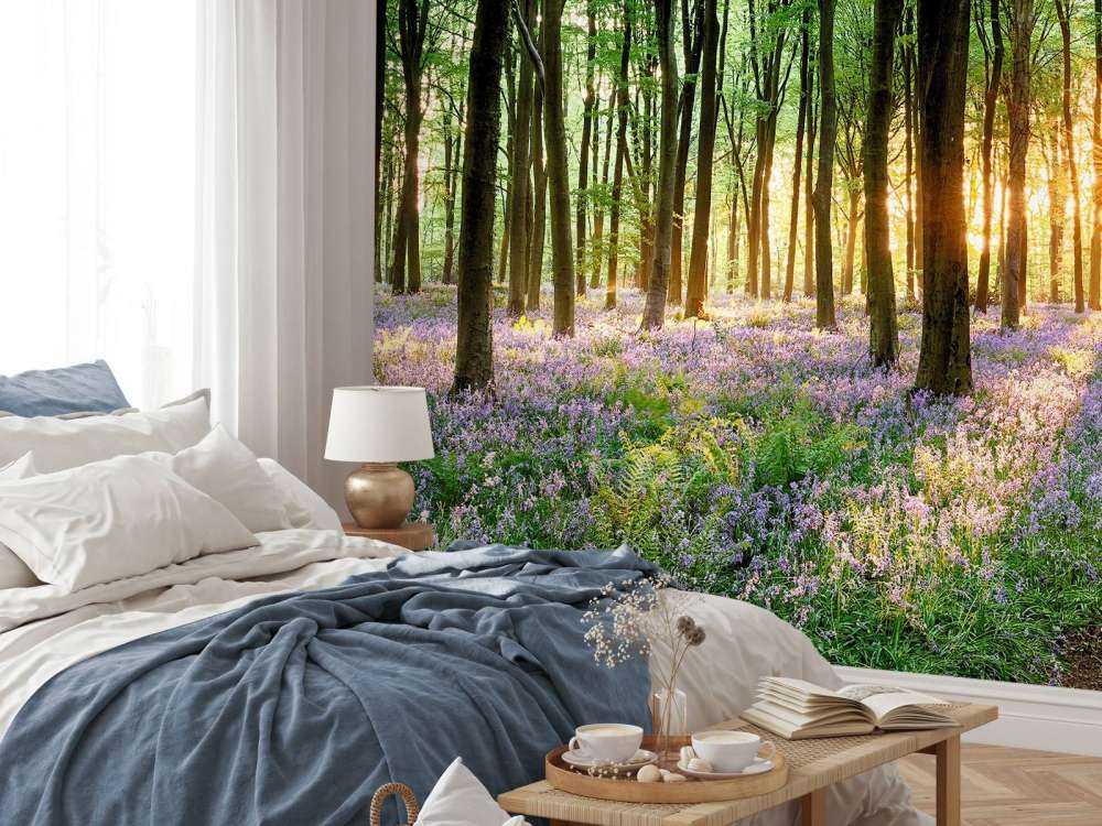 Sentiero della foresta all'alba