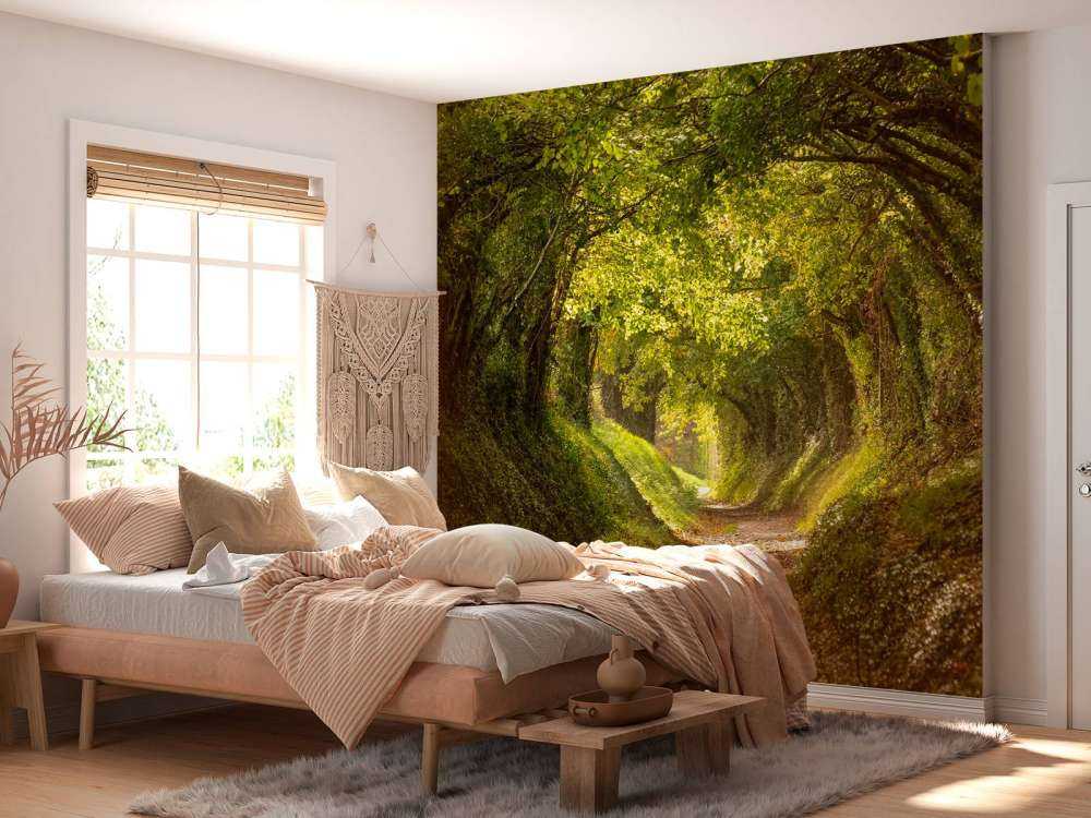 Tunnel dell'albero Halnaker