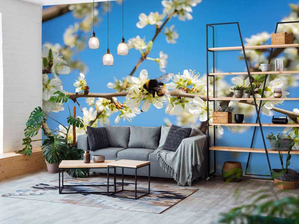 Bombo con fiori bianchi