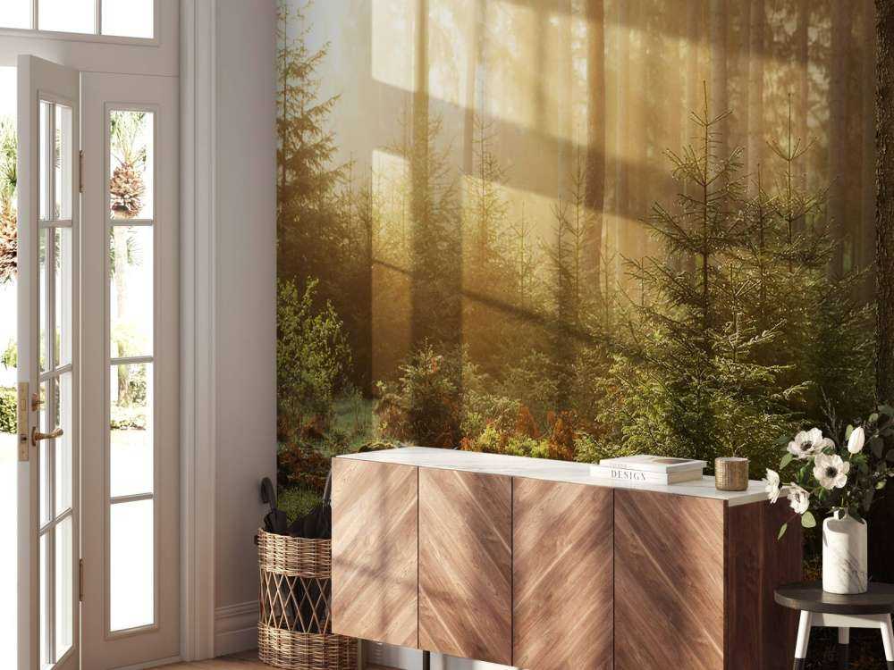 Raggi di sole attraverso la foresta