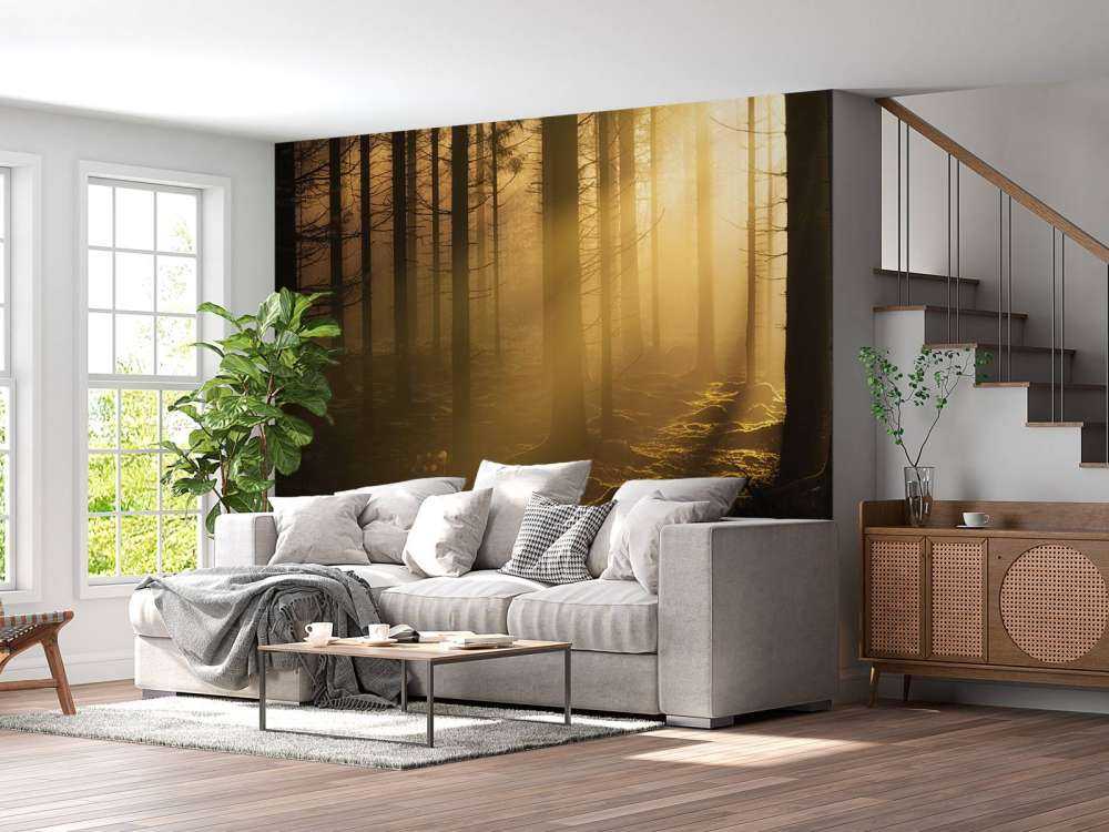 Scuro bosco autunnale