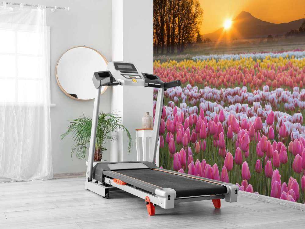 Campo di tulipani colorati