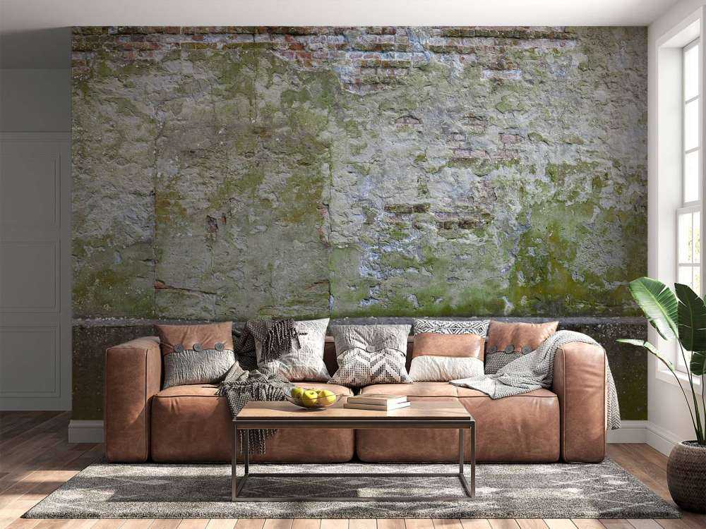 Muschio su un vecchio muro