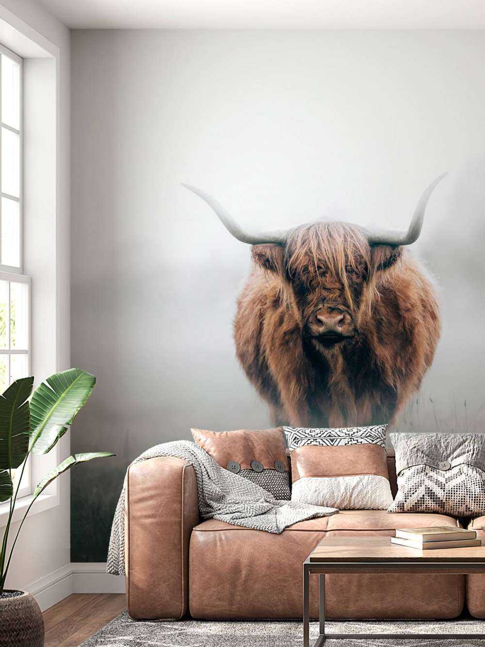 Highlander scozzese in una fitta nebbia