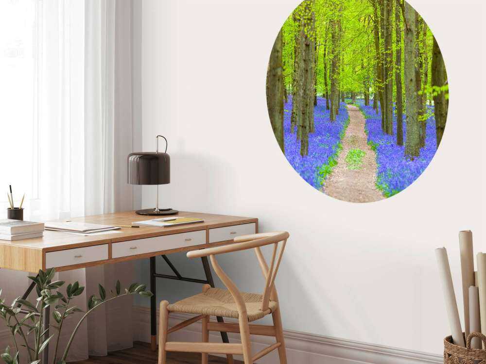 Sentiero delle campanule