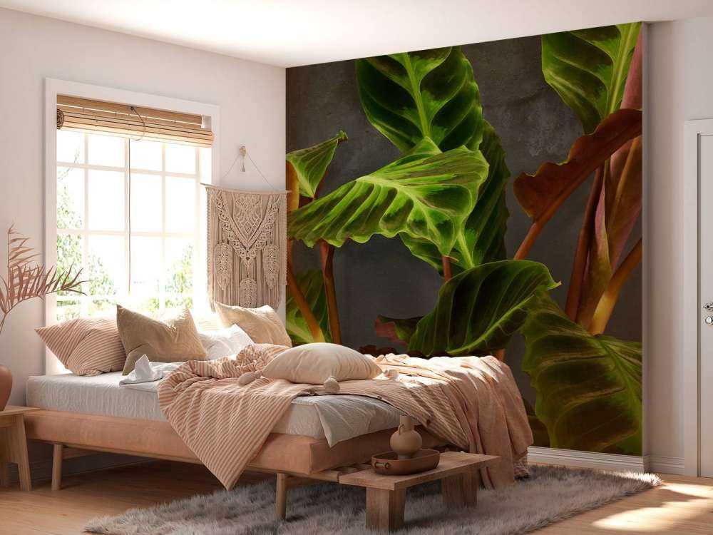 Pianta con belle foglie verdi