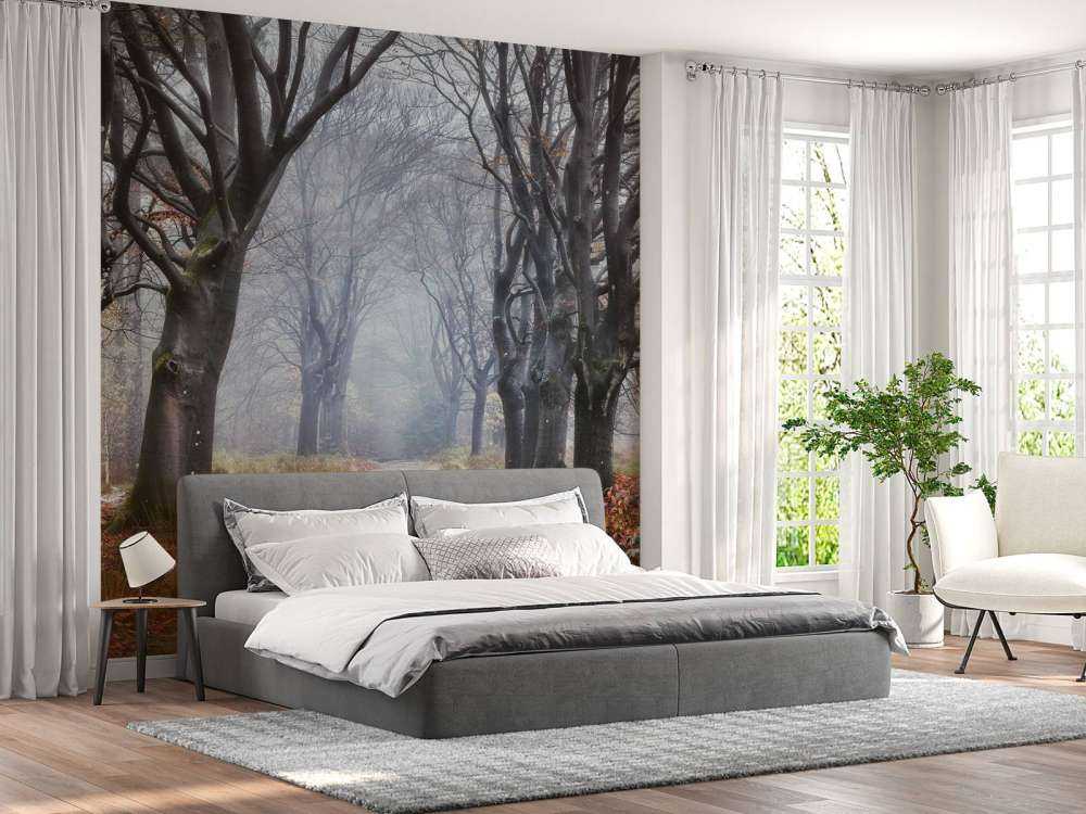 Alberi nella foresta