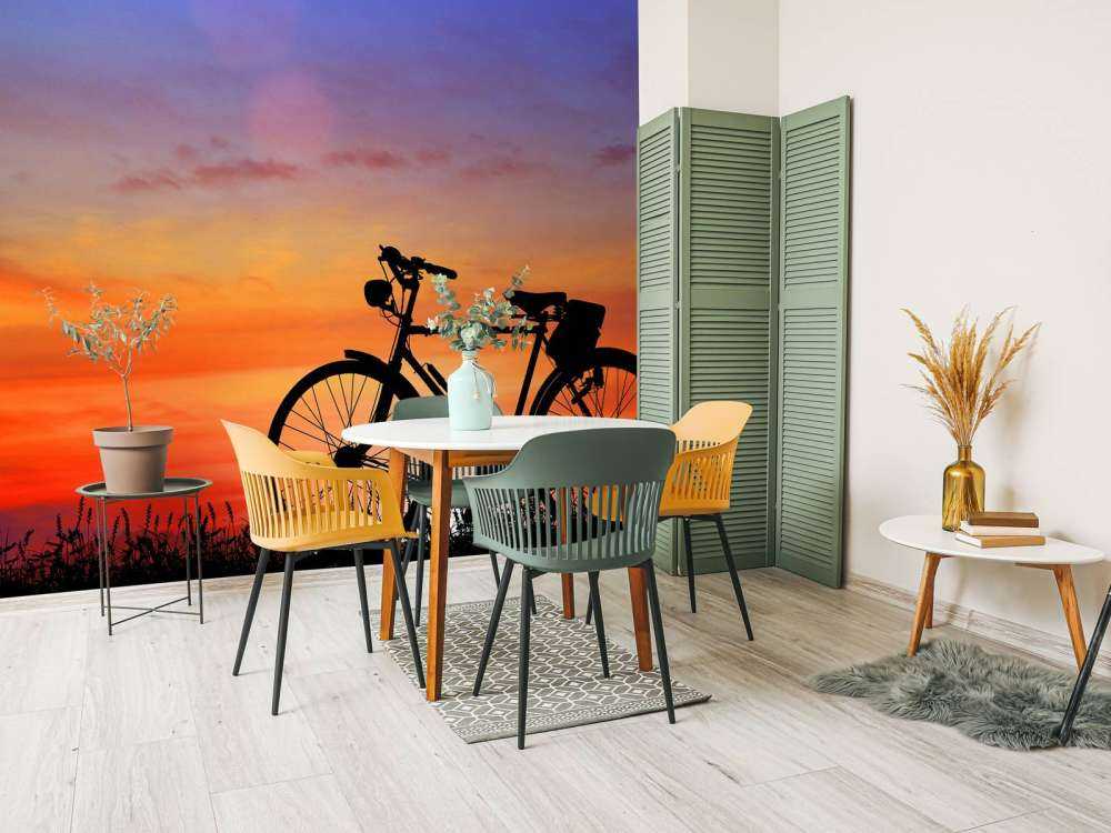 Bicicletta vintage al tramonto