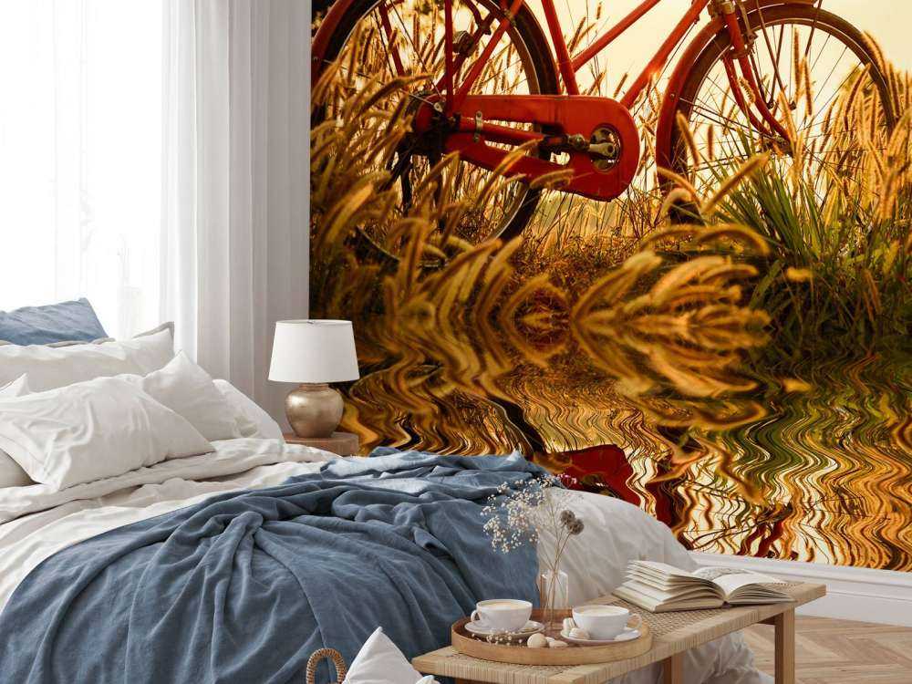 Bicicletta al tramonto