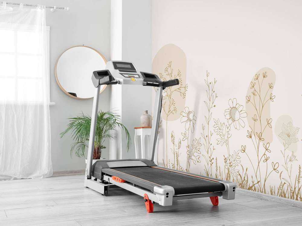 Campo di fiori alto beige e colori della natura