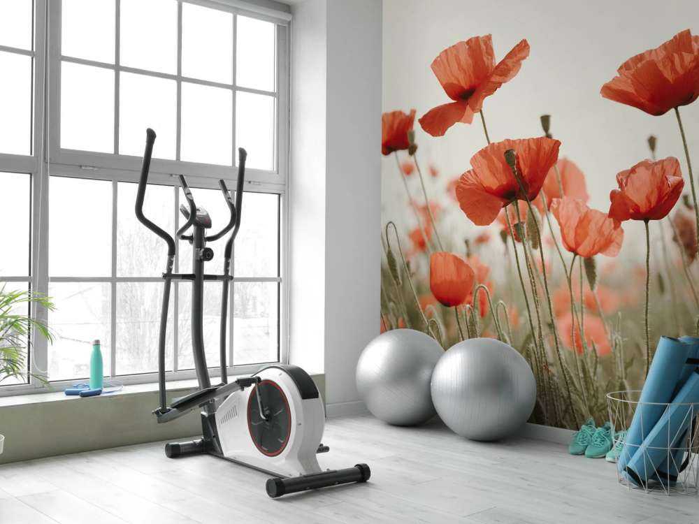 Papaveri in colori vintage