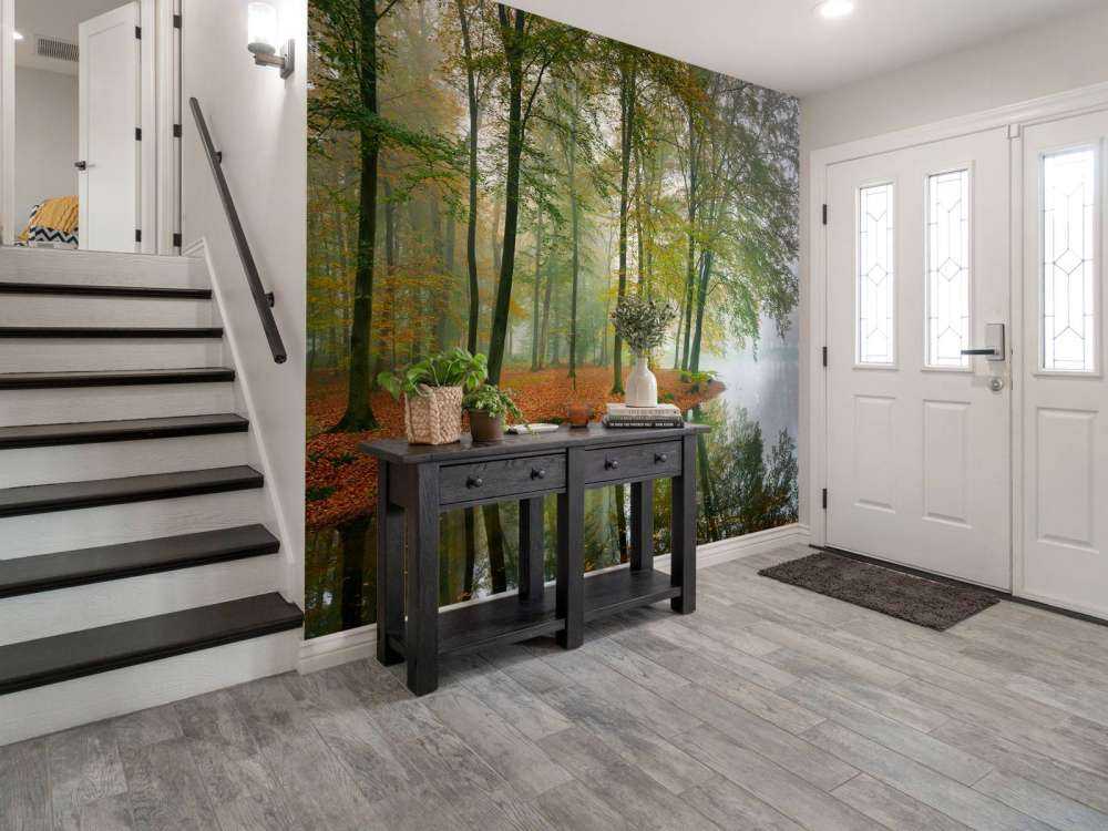 Riflessione degli alberi nello stagno