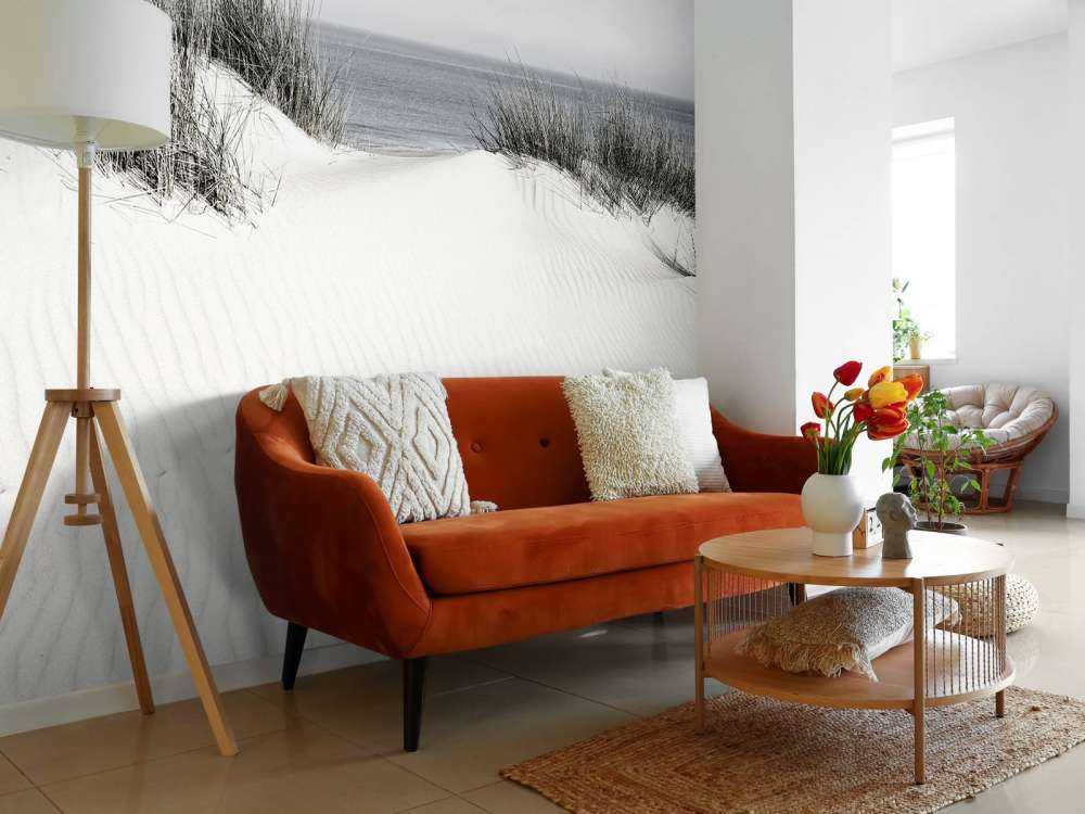 Passaggio dalla duna alla spiaggia in bianco e nero