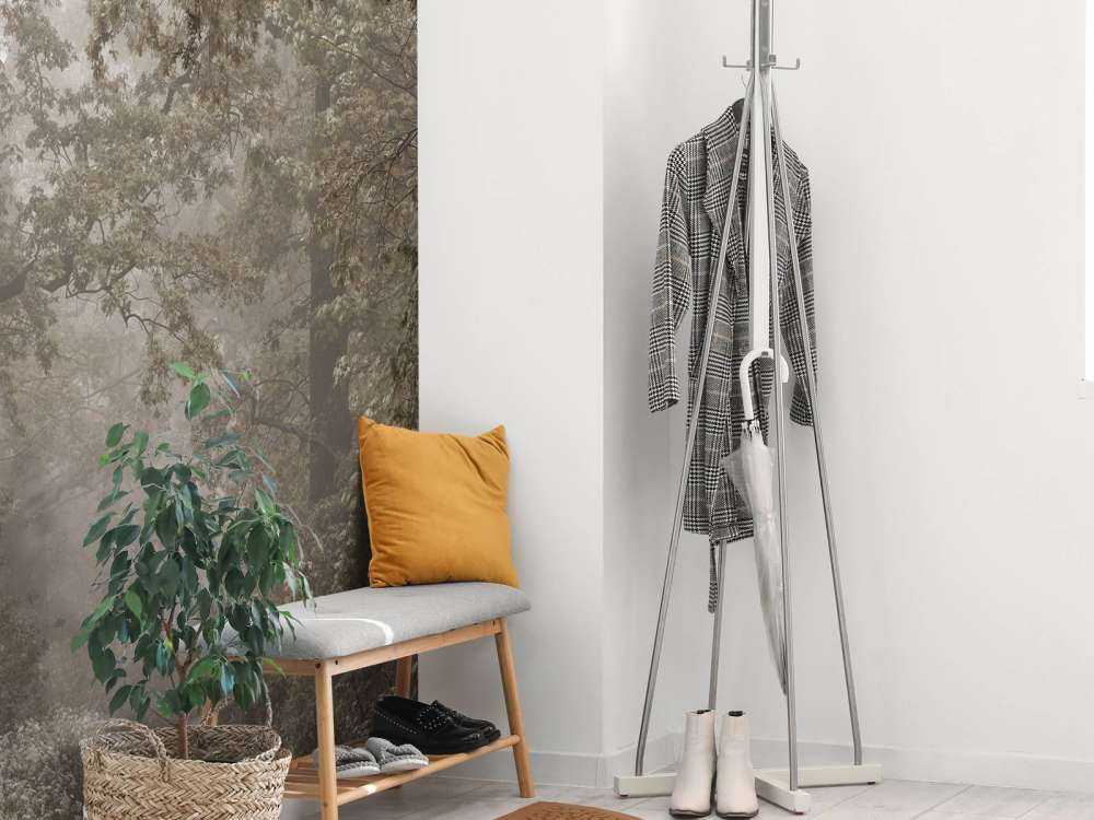 Sentiero attraverso la foresta nebbiosa