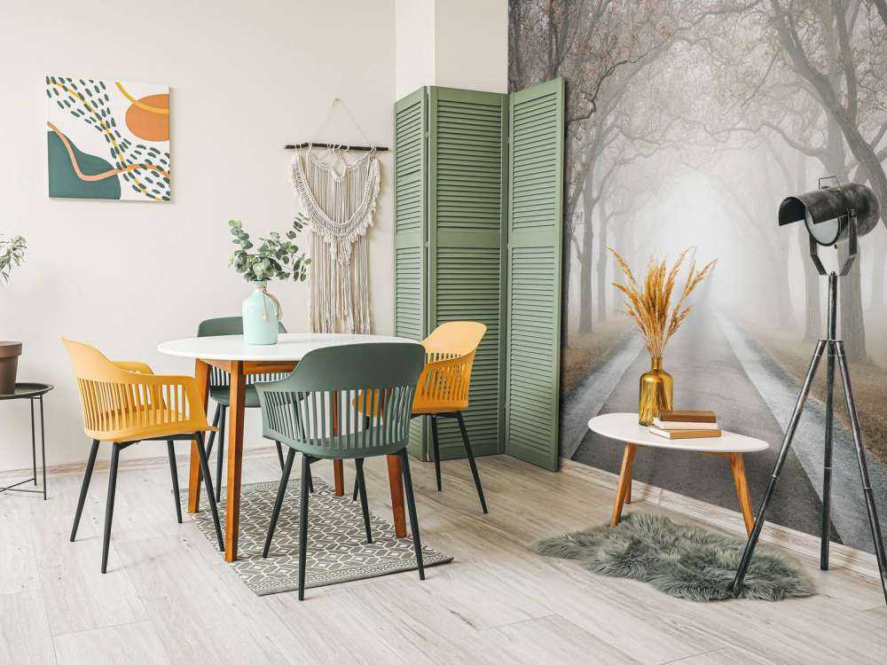 Strada con alberi secolari