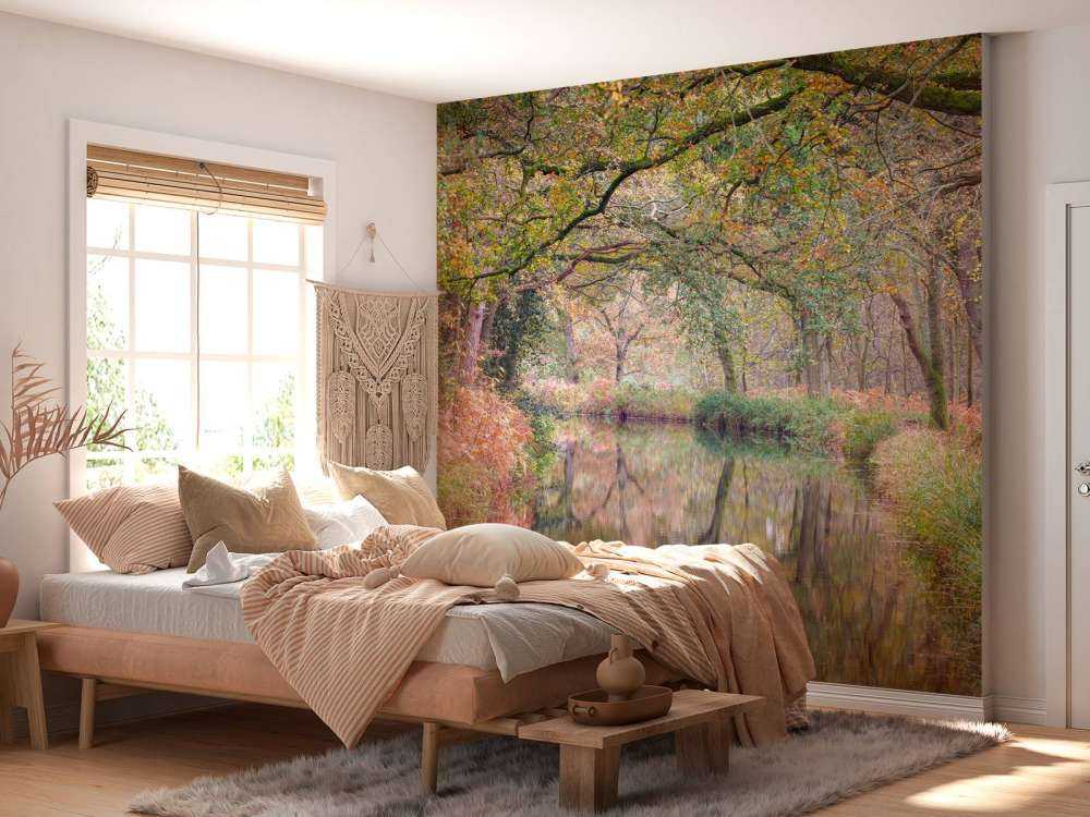 Foresta coperta e colorata