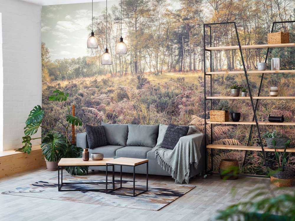 La foresta durante la mattina