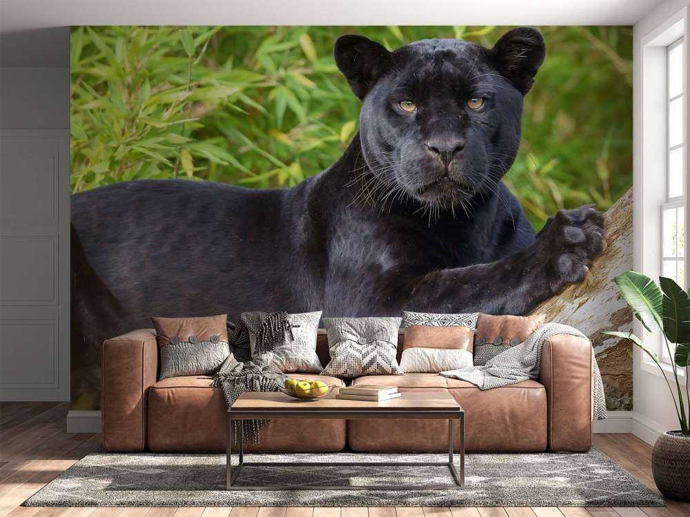 Pantera nera su un albero