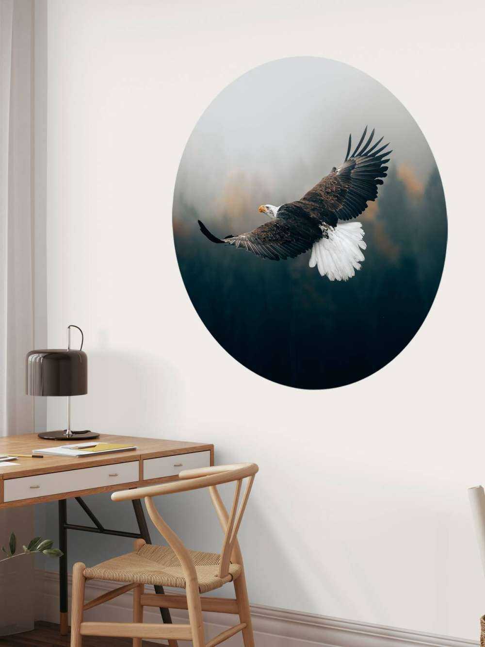 Aquila calva sopra la foresta