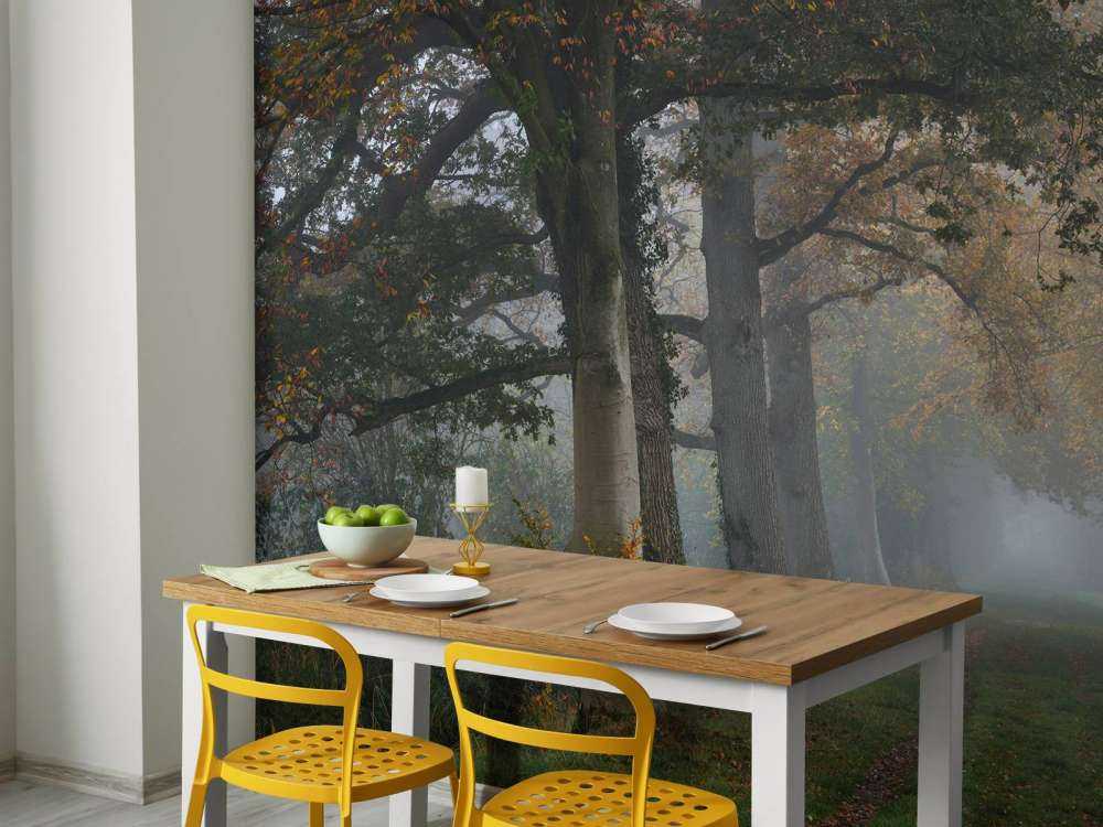 Corsia con alberi nella nebbia