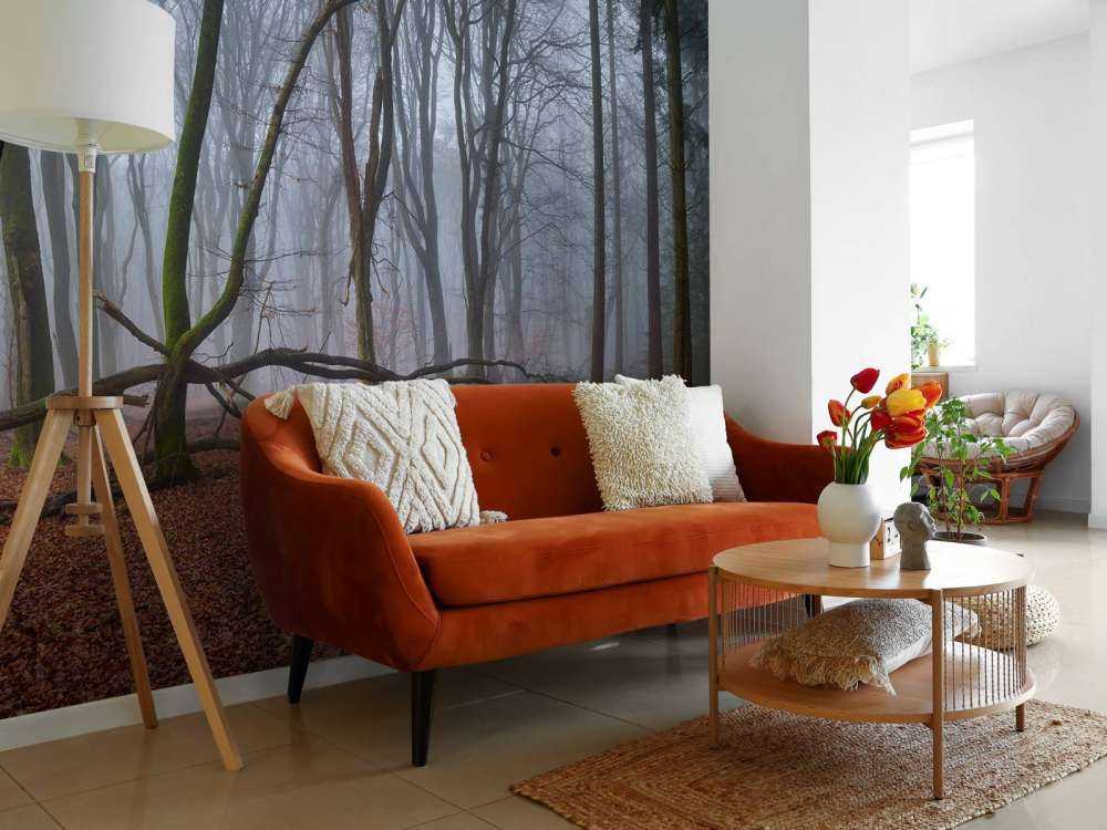 Misteriosa foresta nebbiosa