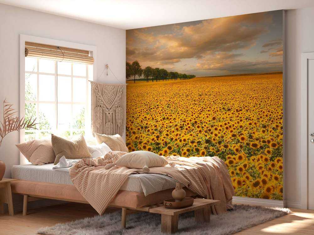 Sunflowers
