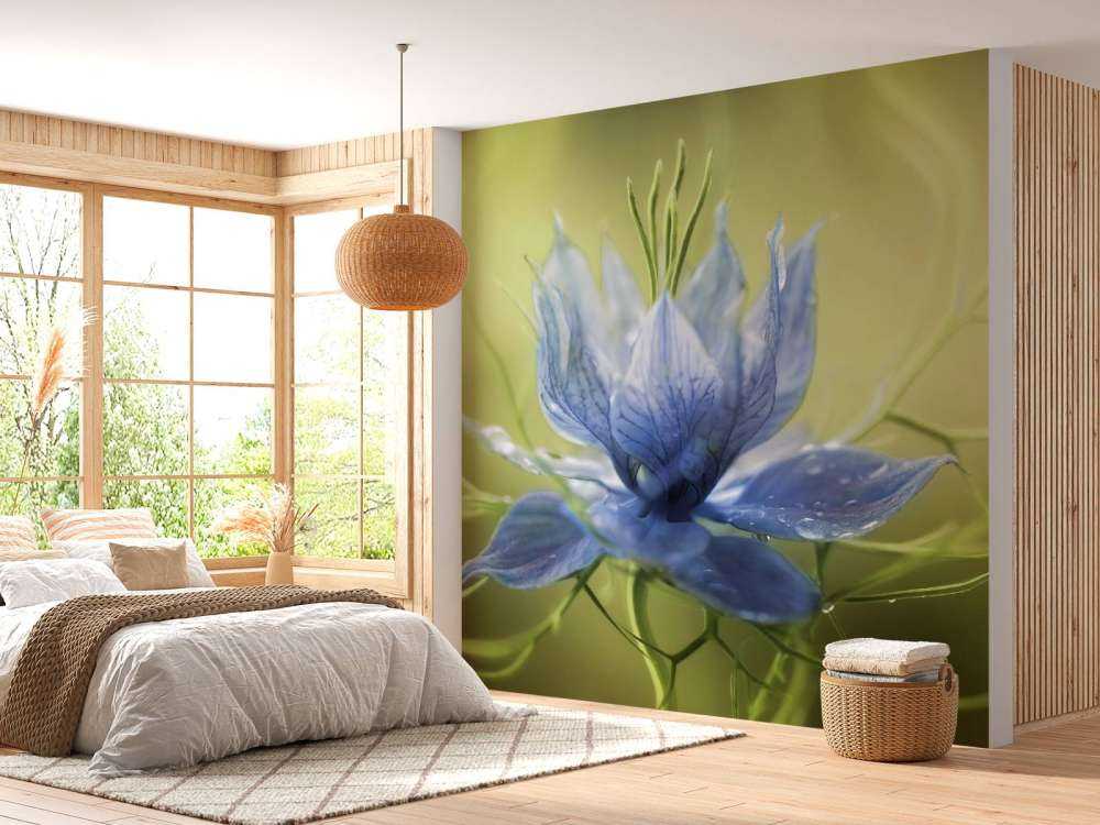 Nigella flower