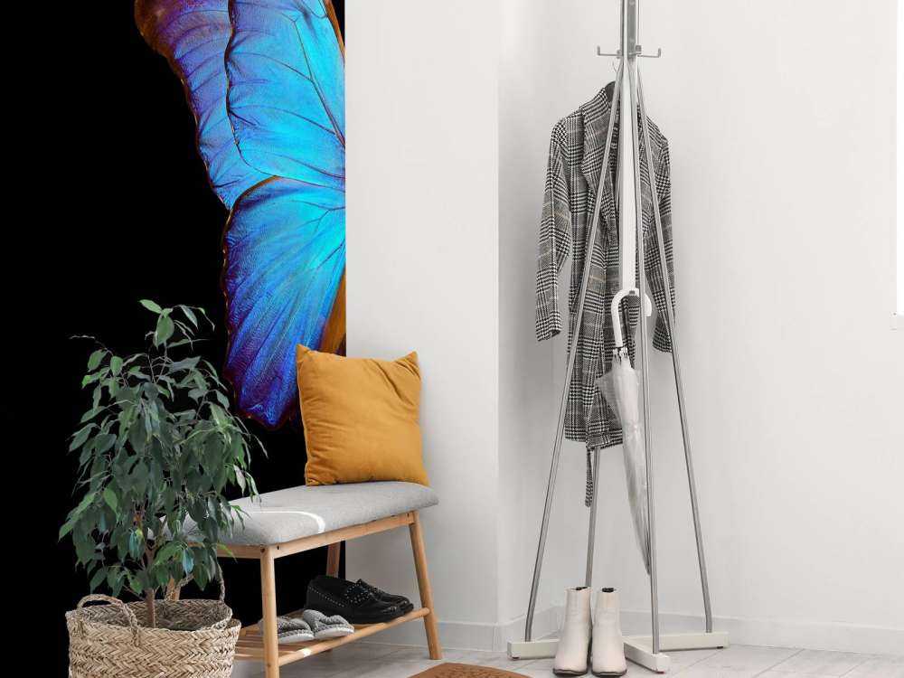 Farfalla su tulipano