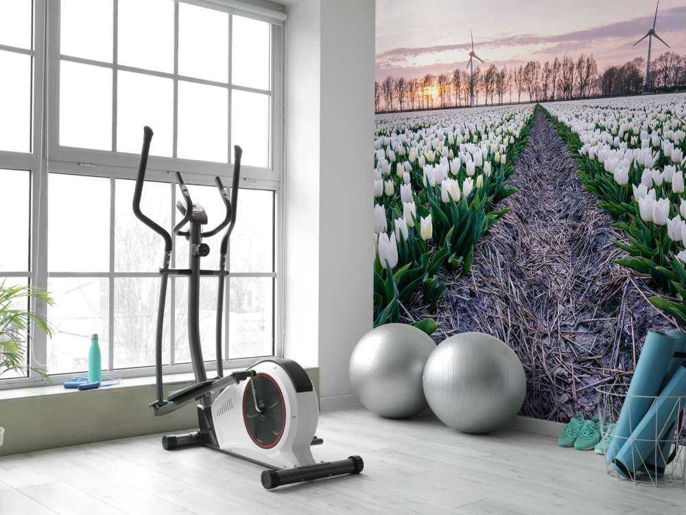 Campo di tulipani bianchi