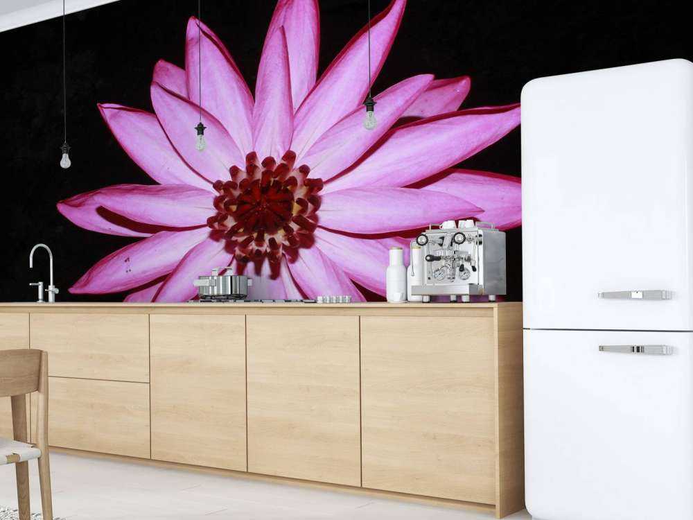 Fiore di loto dall'alto