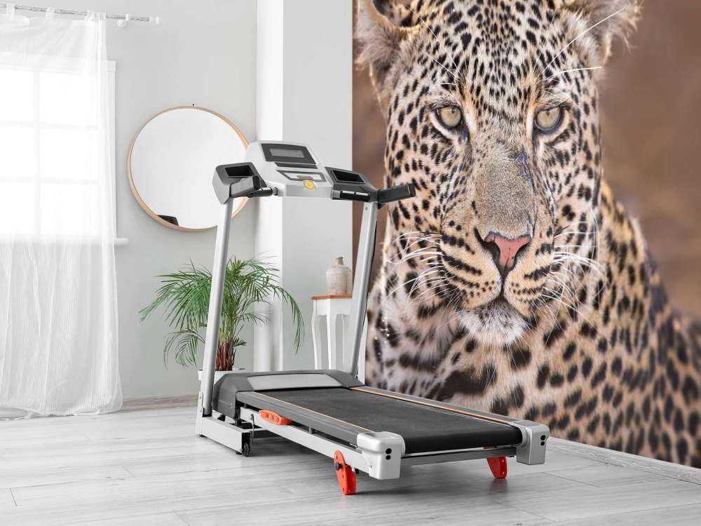 Ritratto di leopardo