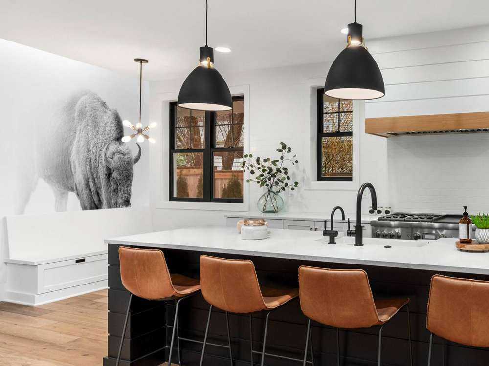 Bisonte bianco e nero