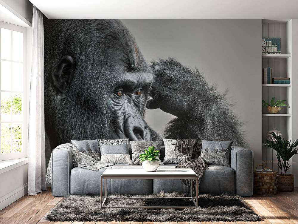 Gorilla bianco e nero