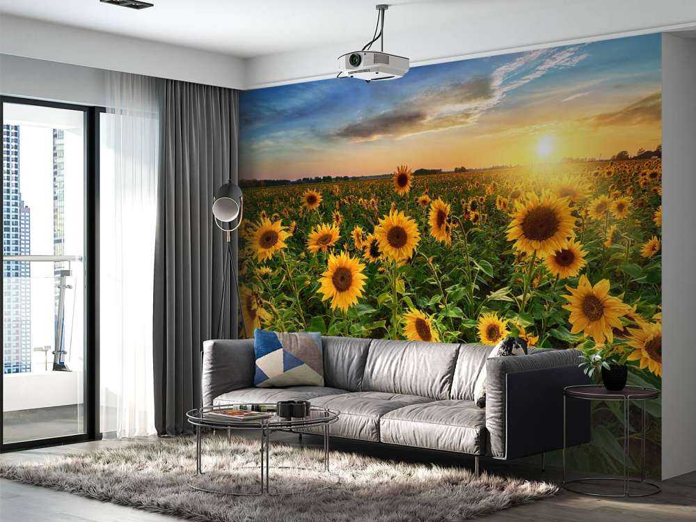 Bellissimo campo di girasoli