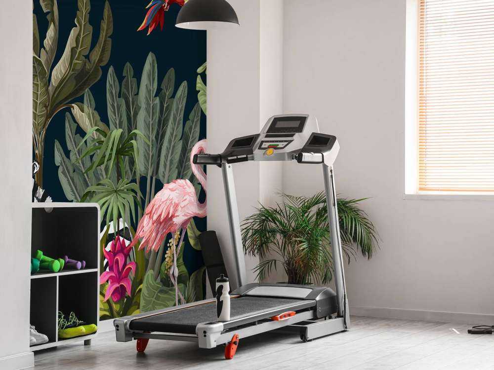 Animali della giungla colorati