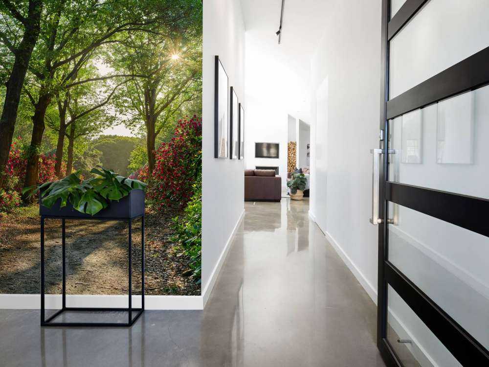 L'alba al sentiero con i rododendri