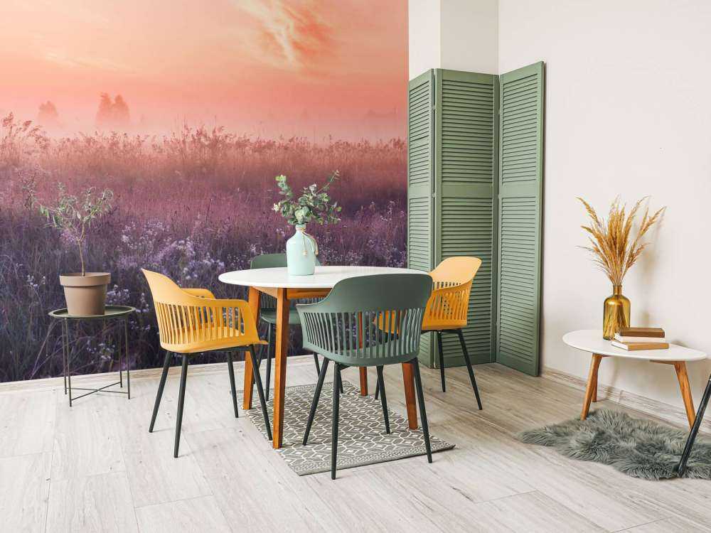 Campo con nebbia mattutina