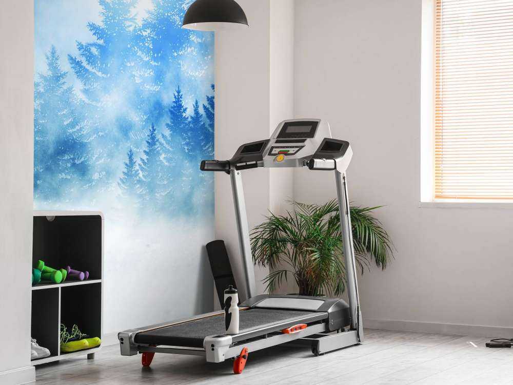 Foresta scura con neve