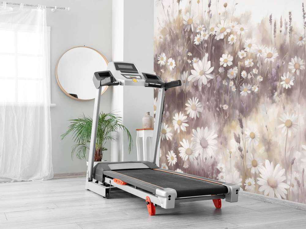 Campo di Margherite Quieto Rosa