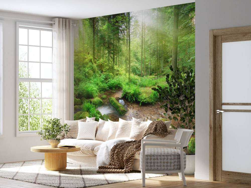 Incantevole paesaggio forestale