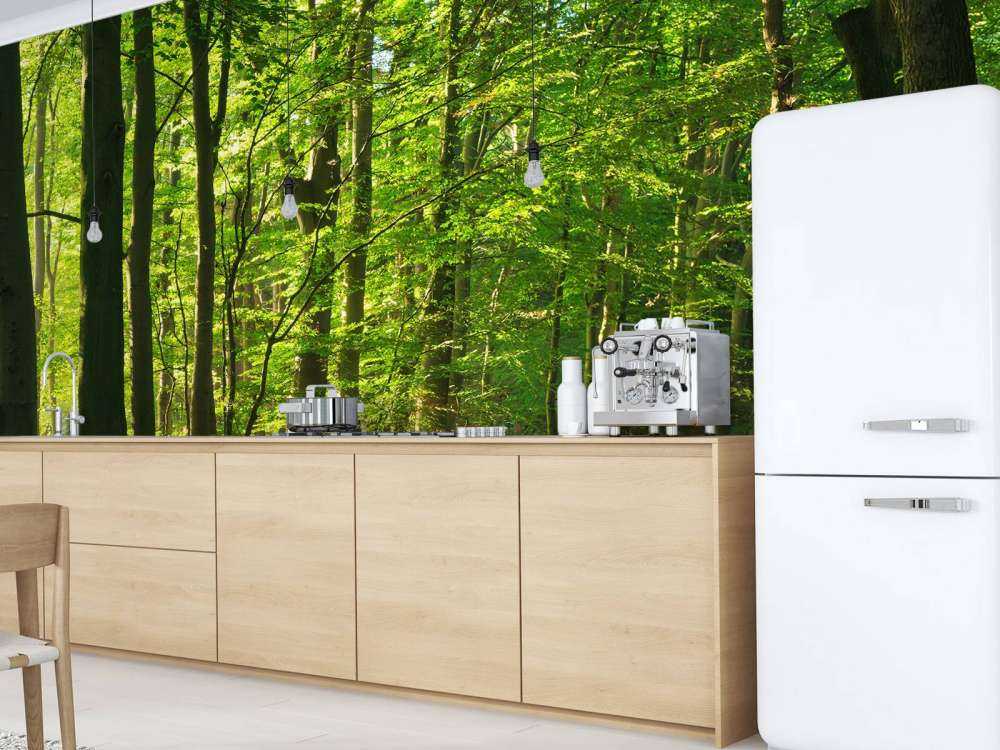 Strada soleggiata attraverso una foresta