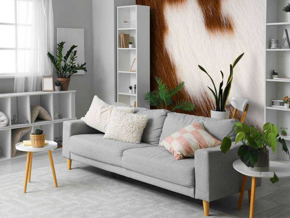 Vacchetta rossa e bianca