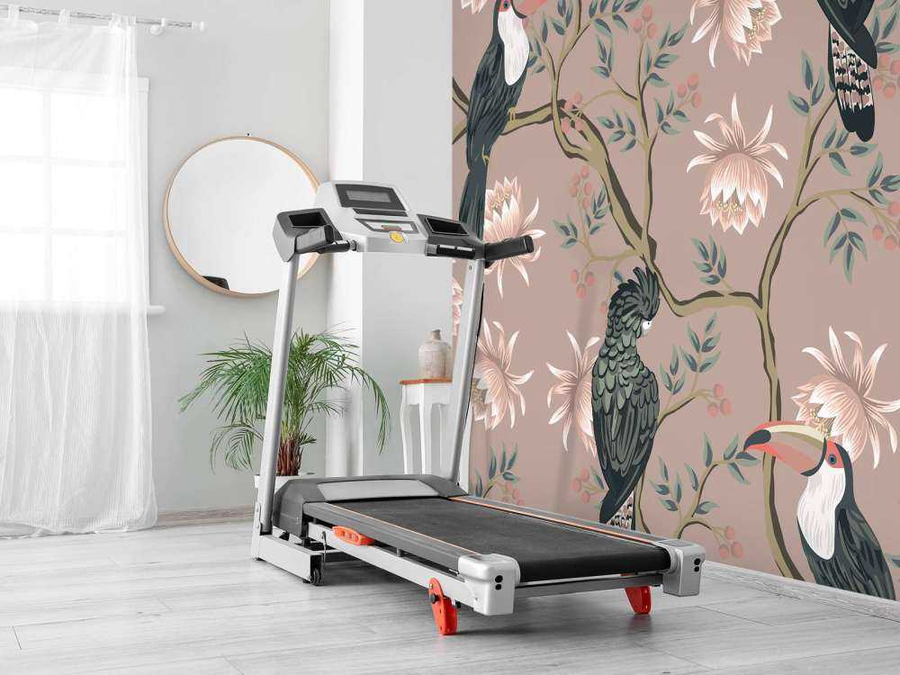 Danza dei fiori di tucano